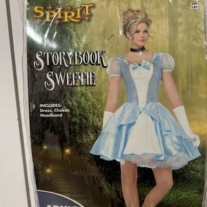 Women’s Cinderella Costume